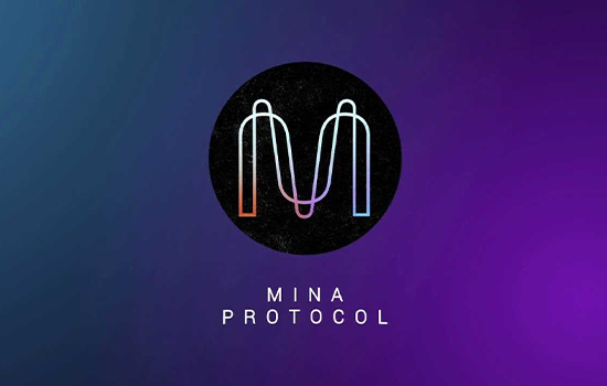 portfolio woocommerce